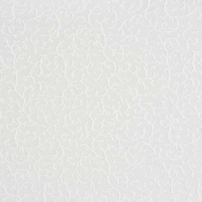 Charlotte  Fabric Sample 20630-02