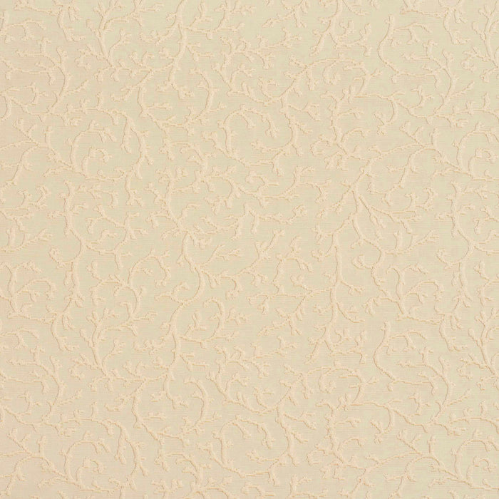 Charlotte  Fabric Sample 20630-05