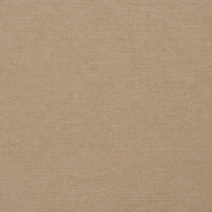 Charlotte  Fabric Sample 20900-09