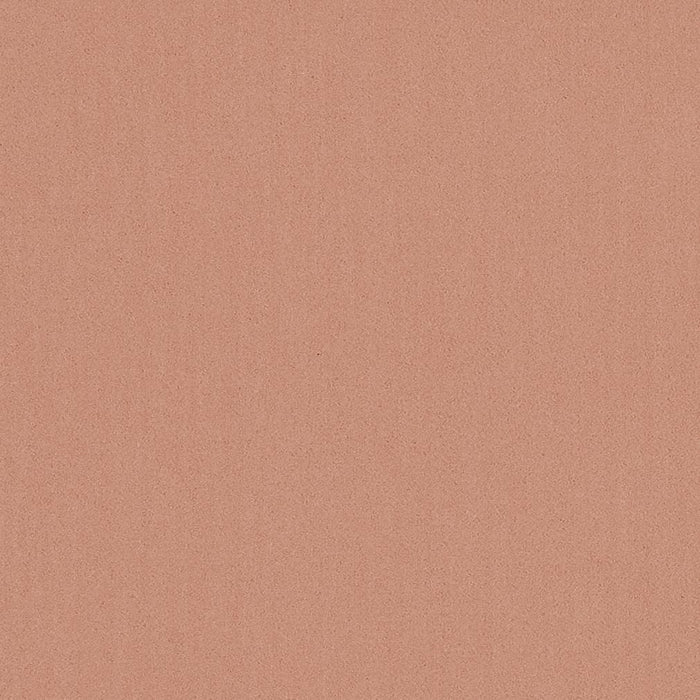 Charlotte  Fabric Sample 20950-09