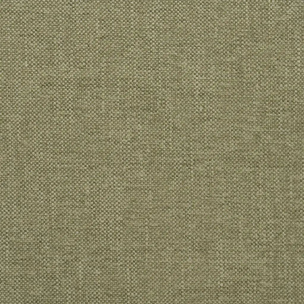 Designers Guild Elrick 22 Fabric F2063-22