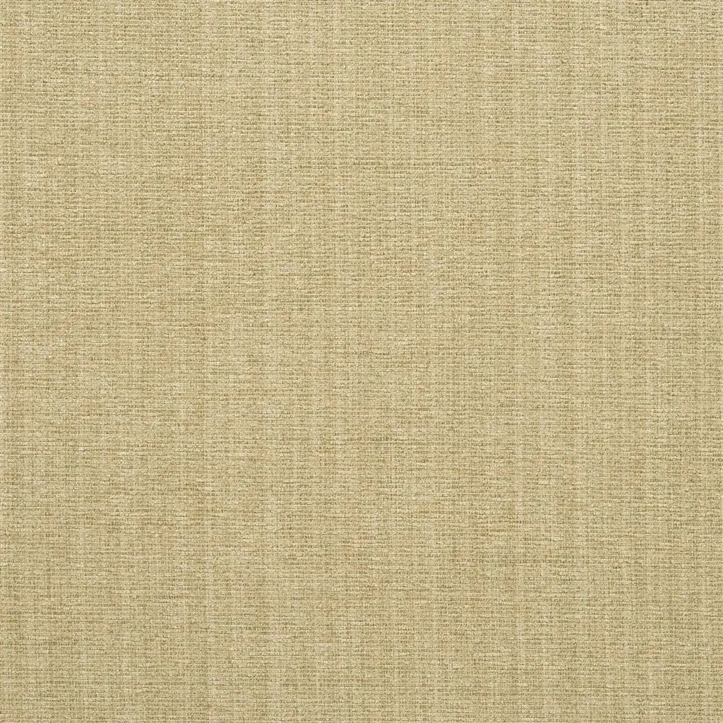 Designers Guild Lilburn 5 Fabric F2066-05