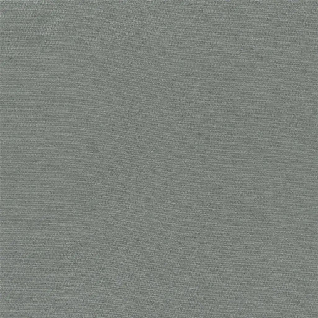 Designers Guild Luccicante 15 Fabric FDG2196-15