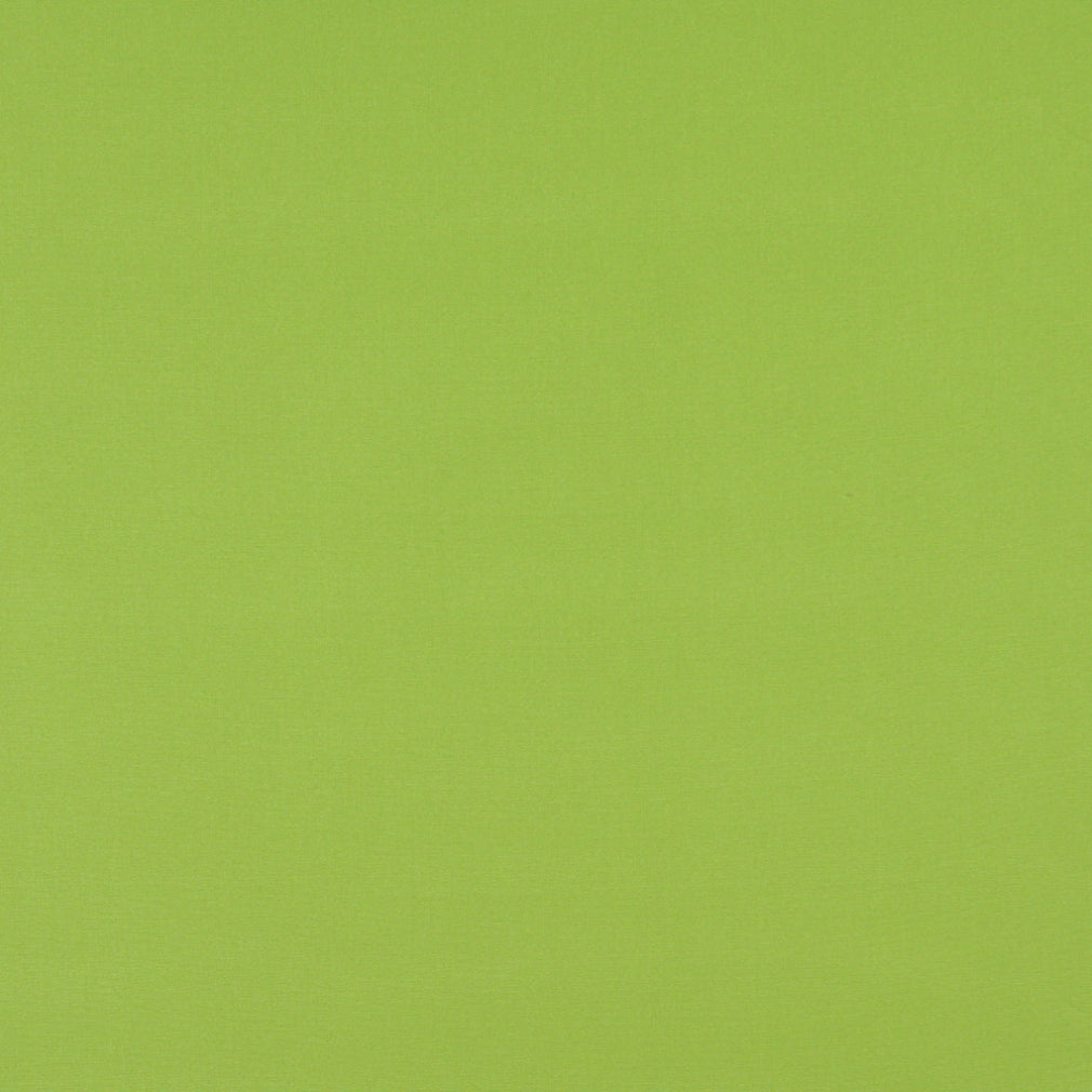Charlotte Lime Fabric Sample 2469