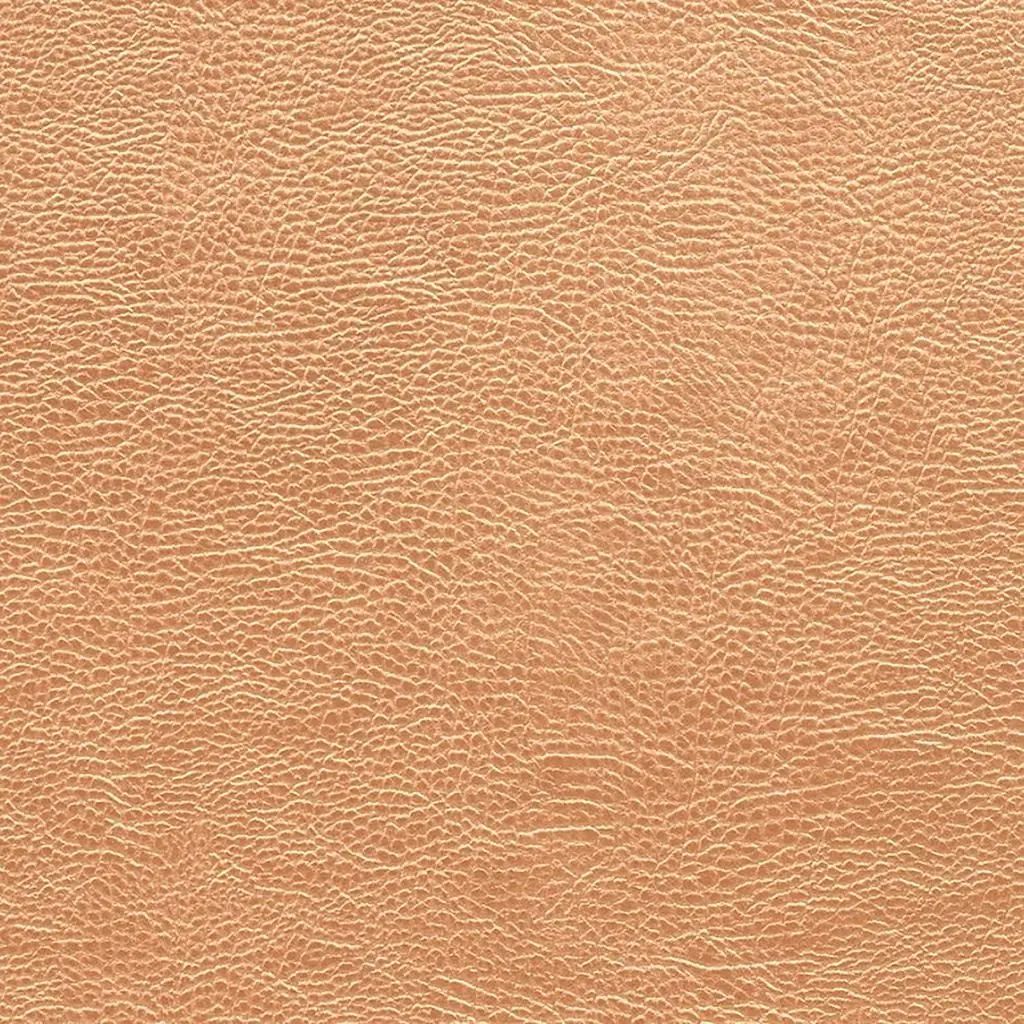 Designers Guild Atacama 5 Fabric FDG2168-05