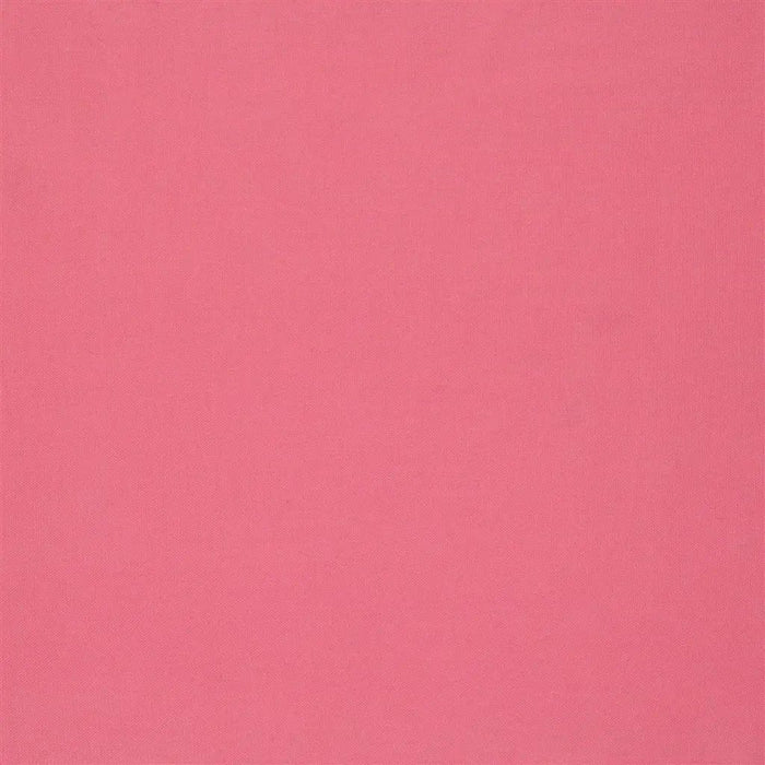 Designers Guild Luccicante 37 Fabric FDG2196-37