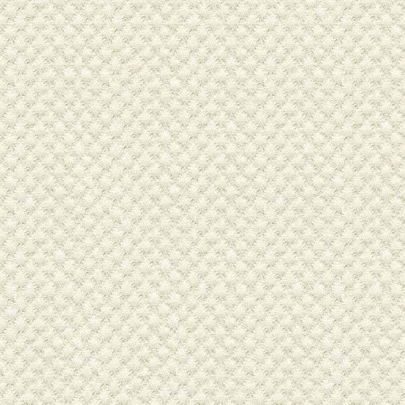 Kravet Design 25807 1 Fabric 25807.1.0