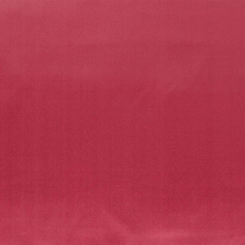 Designers Guild Patia 22 Fabric F1649-22