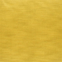 Designers Guild Pampas 24 Fabric FDG2163-24
