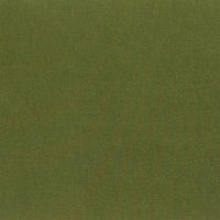 Designers Guild Satinato 47 Fabric F1505-47