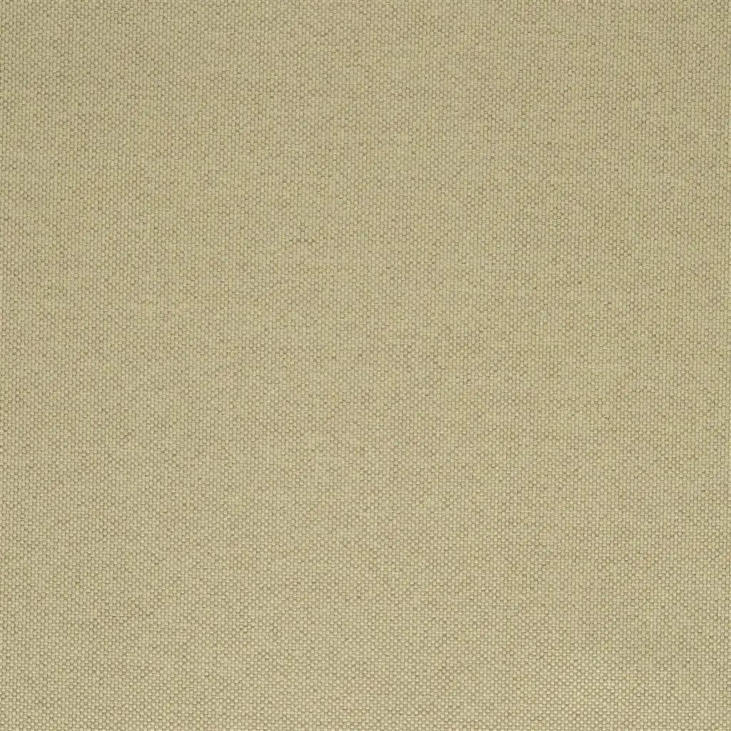 Designers Guild Lismore 12 Fabric FT1976-12