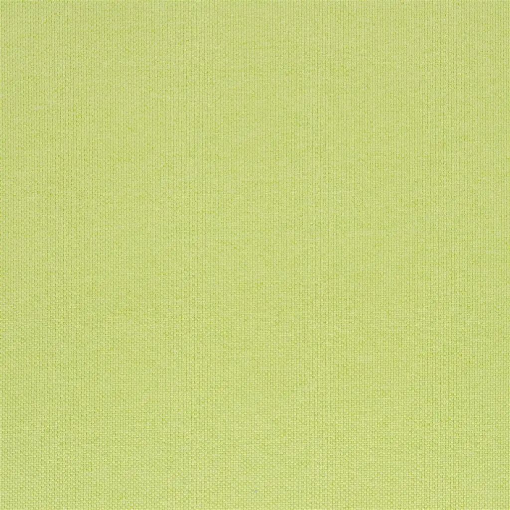 Designers Guild Lismore 19 Fabric FT1976-19