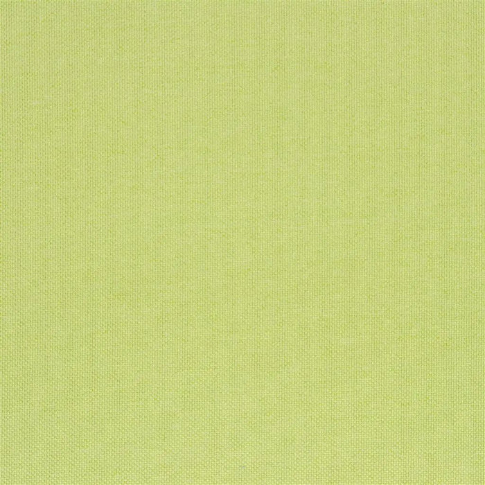 Designers Guild Lismore 19 Fabric FT1976-19