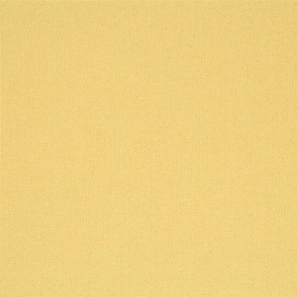 Designers Guild Lismore 20 Fabric FT1976-20