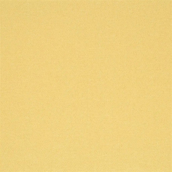 Designers Guild Lismore 20 Fabric FT1976-20