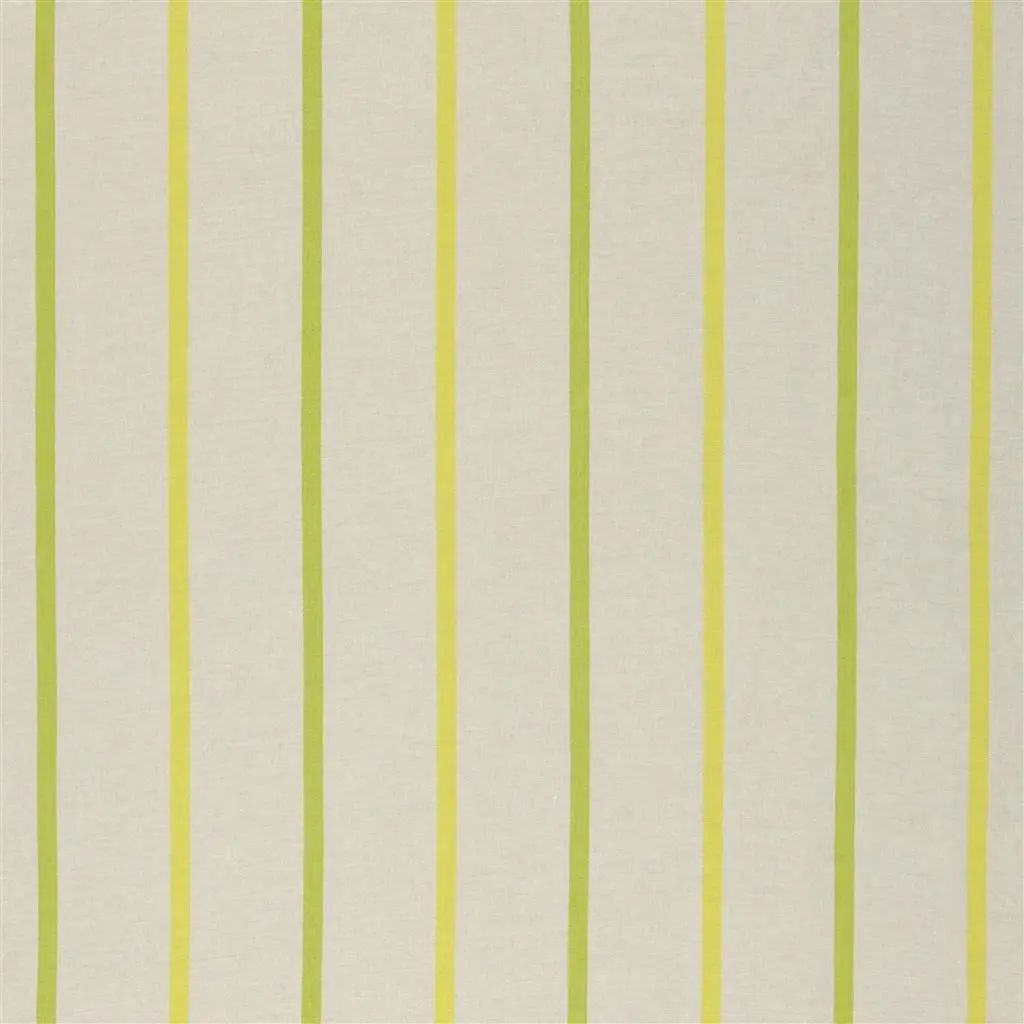 Designers Guild Brera Nastro 4 Fabric FDG2263-04