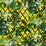 Christian Lacroix Canopy 3 Fabric FCL2276-03