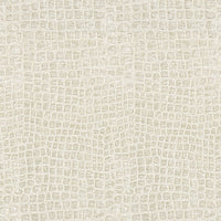 Kravet Contract Finnian Cloud Nine Fabric 33107.111.0
