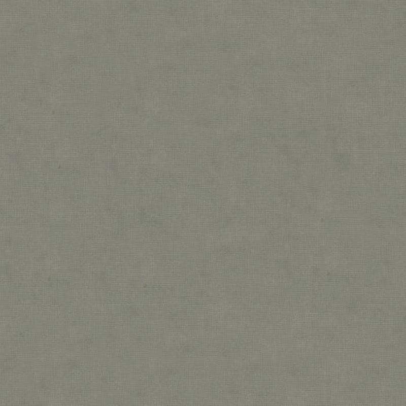 Brunschwig & Fils Charmant Velvet Pewter Fabric 8013150.11.0