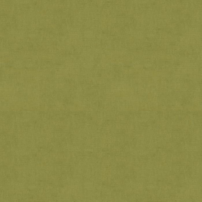 Brunschwig & Fils Charmant Velvet Fern Fabric 8013150.303.0