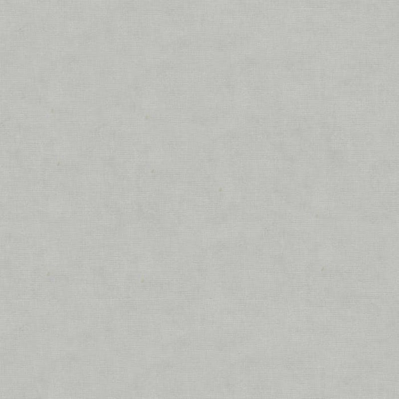 Brunschwig & Fils Charmant Velvet Silver Fabric 8013150.511.0
