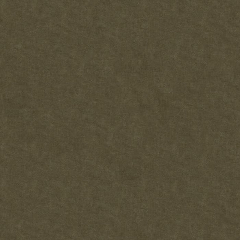 Brunschwig & Fils Charmant Velvet Ash Fabric 8013150.611.0