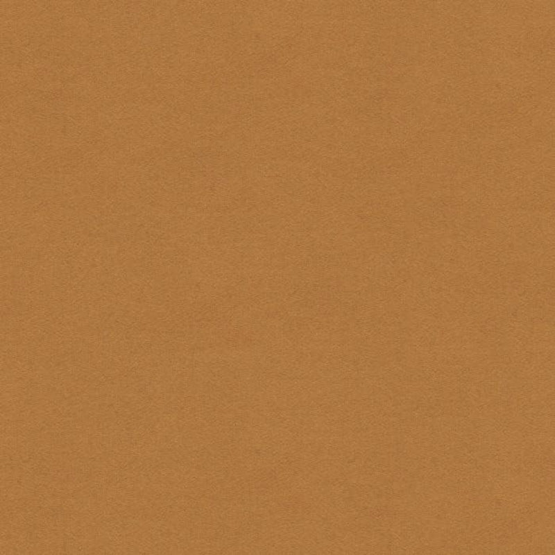Brunschwig & Fils Chevalier Wool Tan Fabric 8013149.1616.0