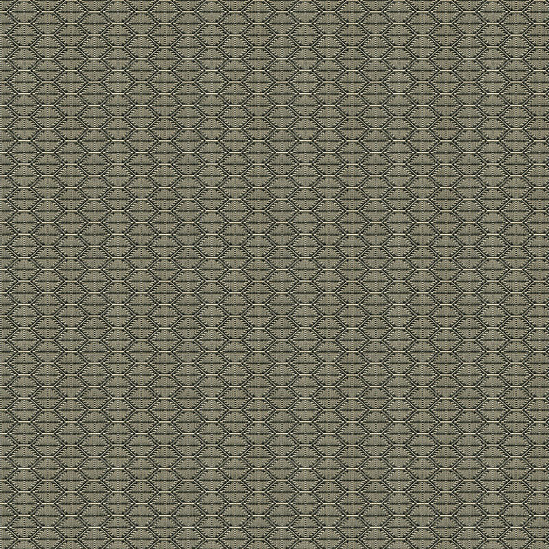 Kravet Contract Nzuri Thunder Fabric 33862.1621.0