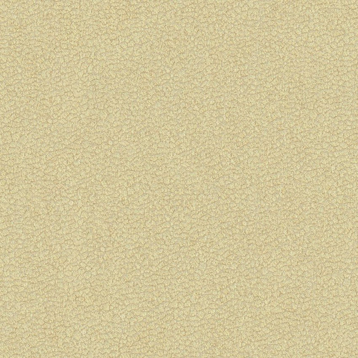 Kravet Design Jatoba Oyster Fabric 34177.16.0
