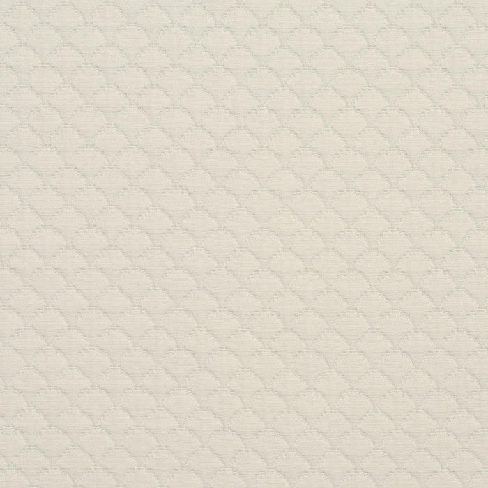 Charlotte Shell Fabric Sample 3464