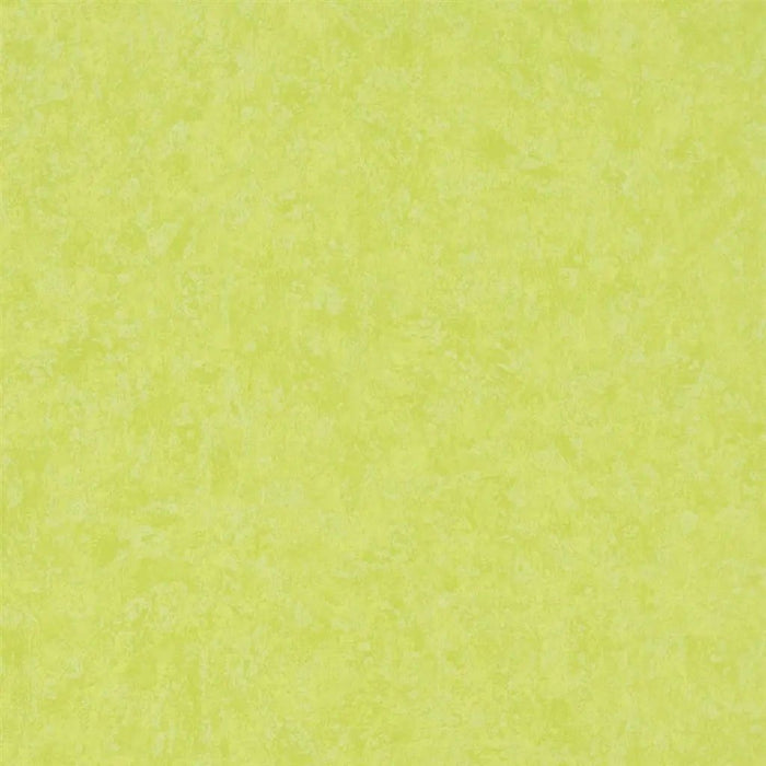 Designers Guild Mayura 14 Wallpaper P575-14
