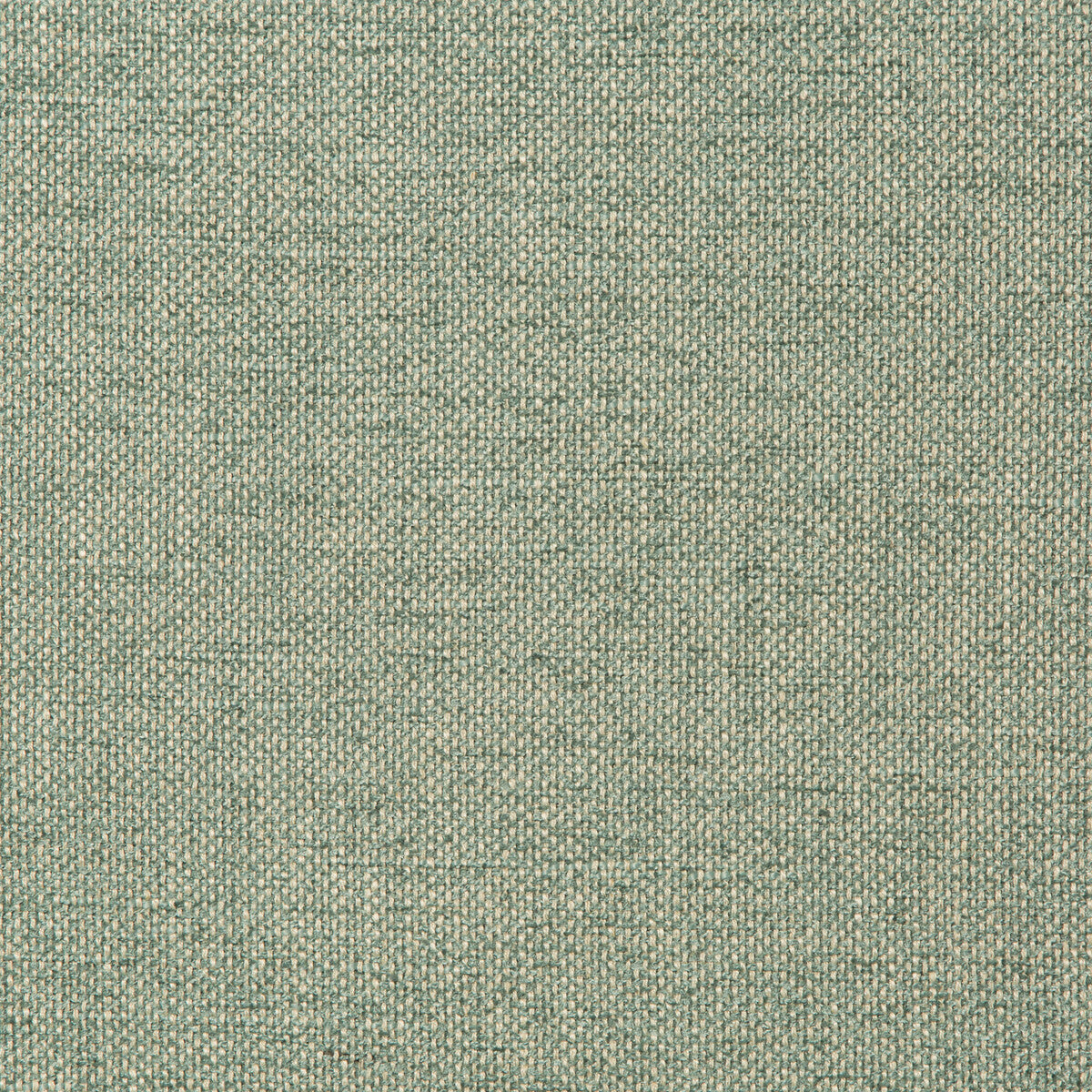 Kravet Smart 35989 13 Fabric 35989.13.0