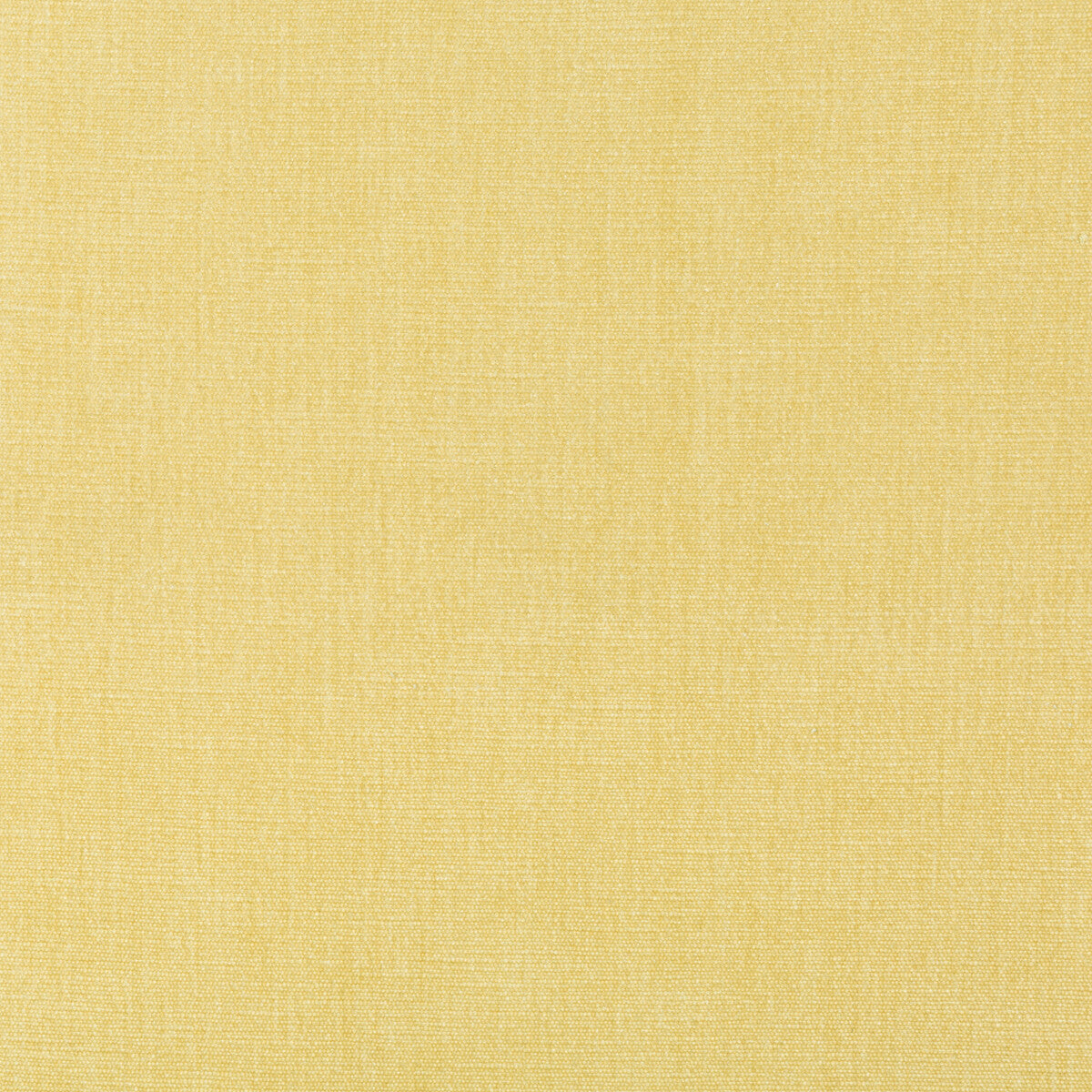 Kravet Smart 36076 1116 Fabric 36076.1116.0