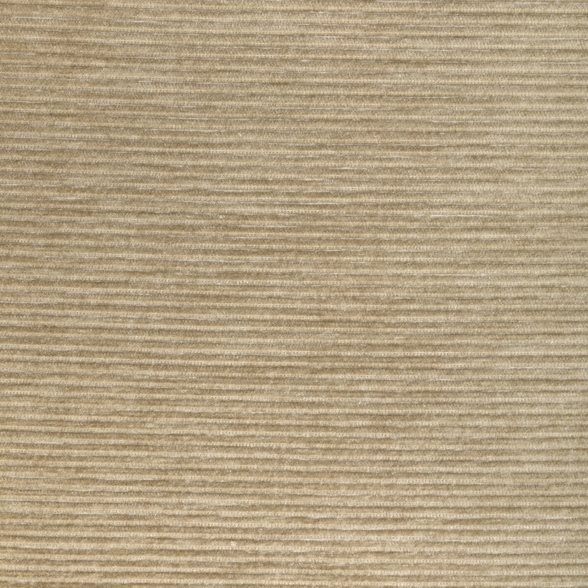 Kravet Smart 36651 1116 Fabric 36651.1116.0