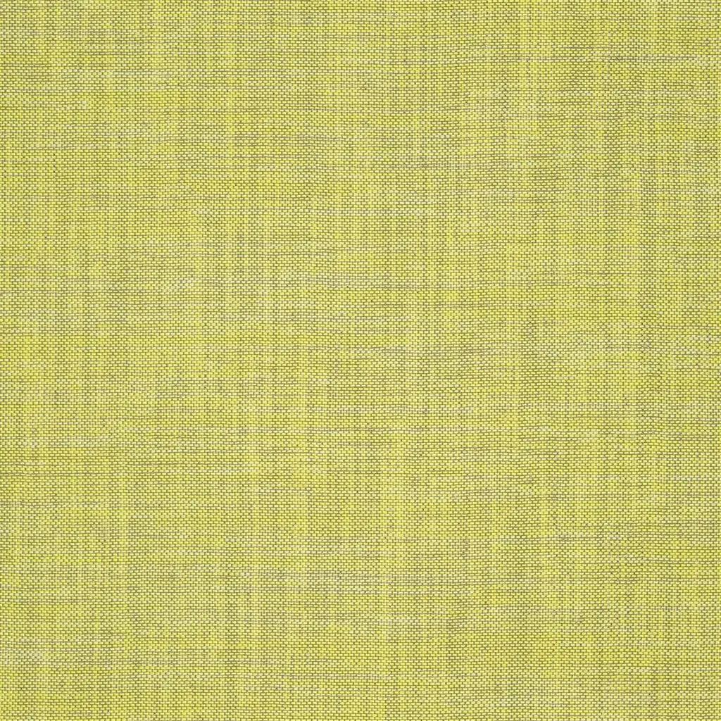Designers Guild Cosia 10 Fabric FDG2267-10