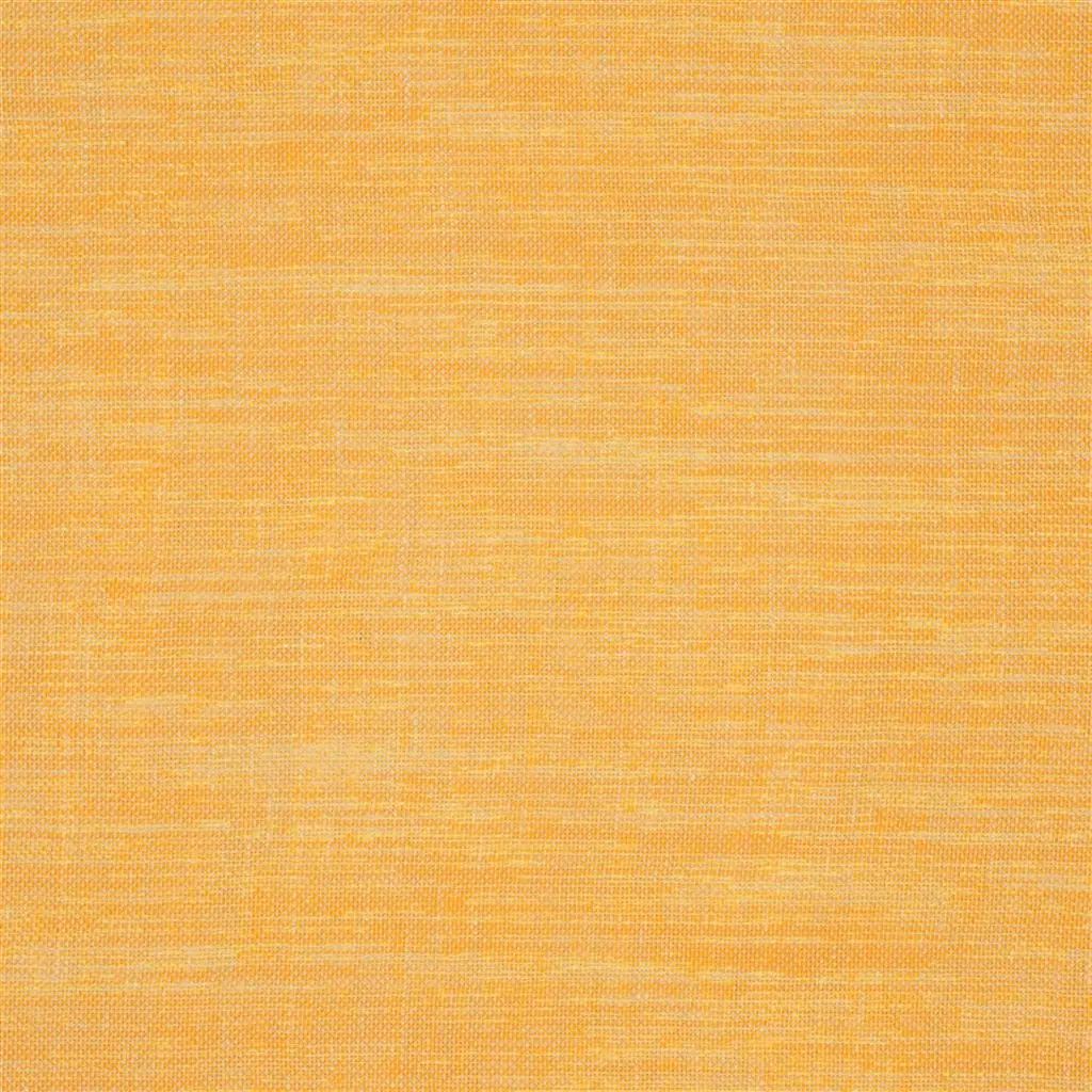 Designers Guild Cosia 13 Fabric FDG2267-13