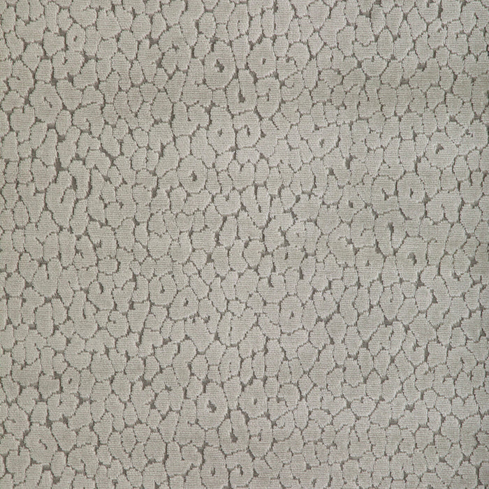 Kravet Design Instinctive Taupe Fabric 36763.11.0