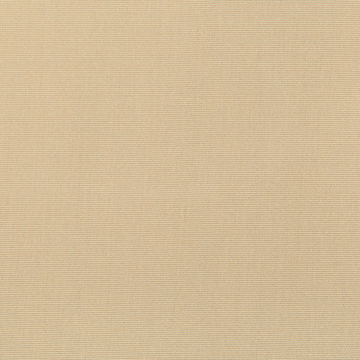 Kravet Basics 36841 1616 Fabric 36841.1616.0