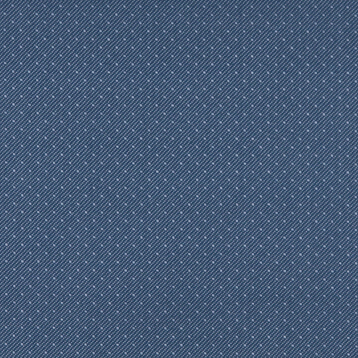 Charlotte Denim Fabric Sample 3801