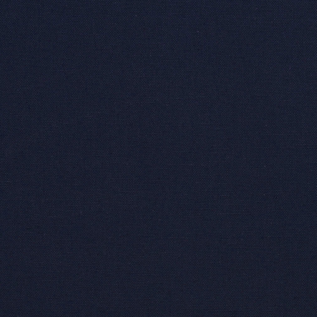 Charlotte Midnight Fabric Sample 3881