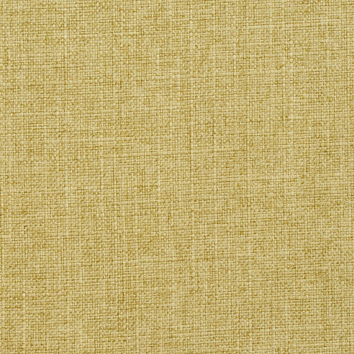 Charlotte Citrus Fabric Sample 3904