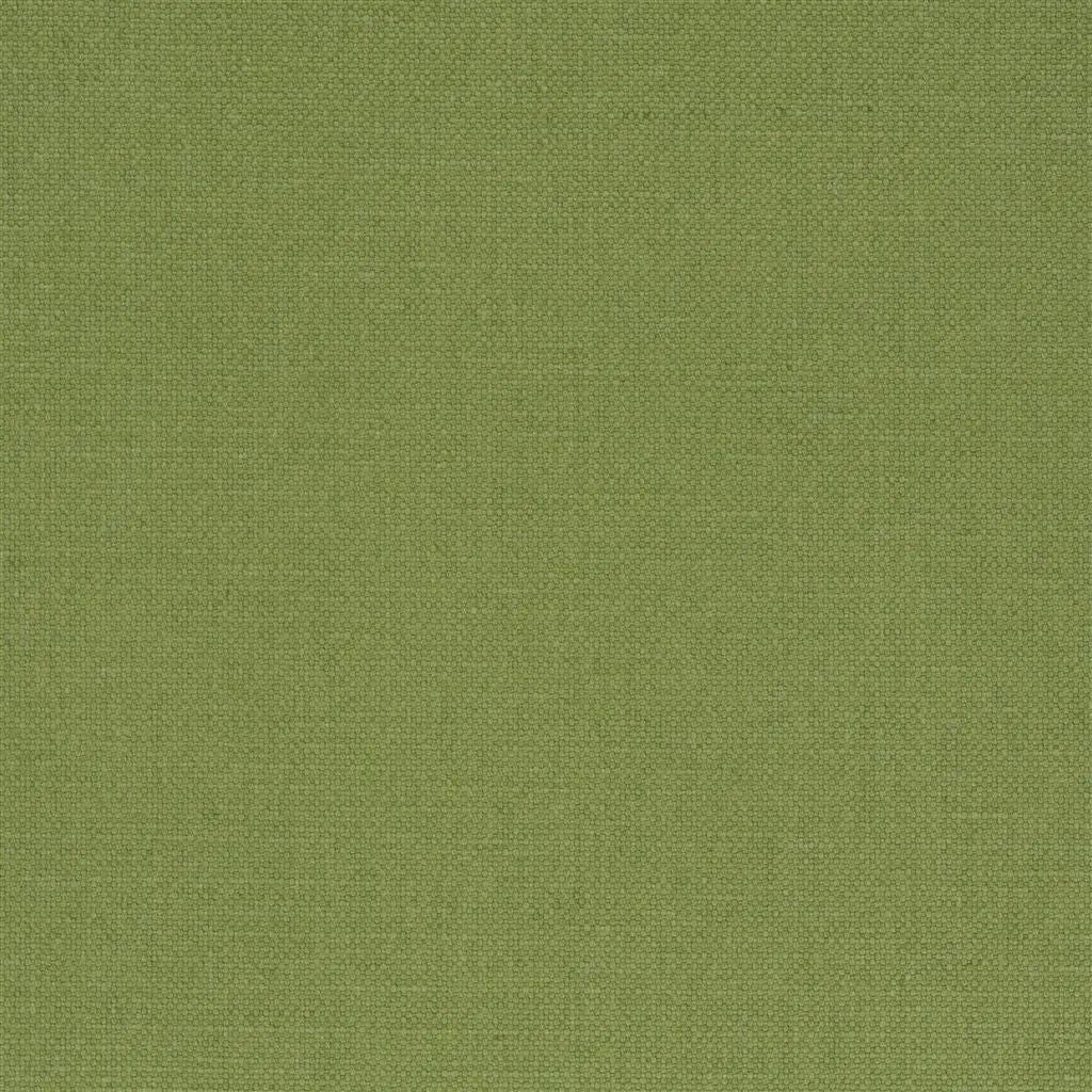 Designers Guild Manzoni 31 Fabric FDG2255-31