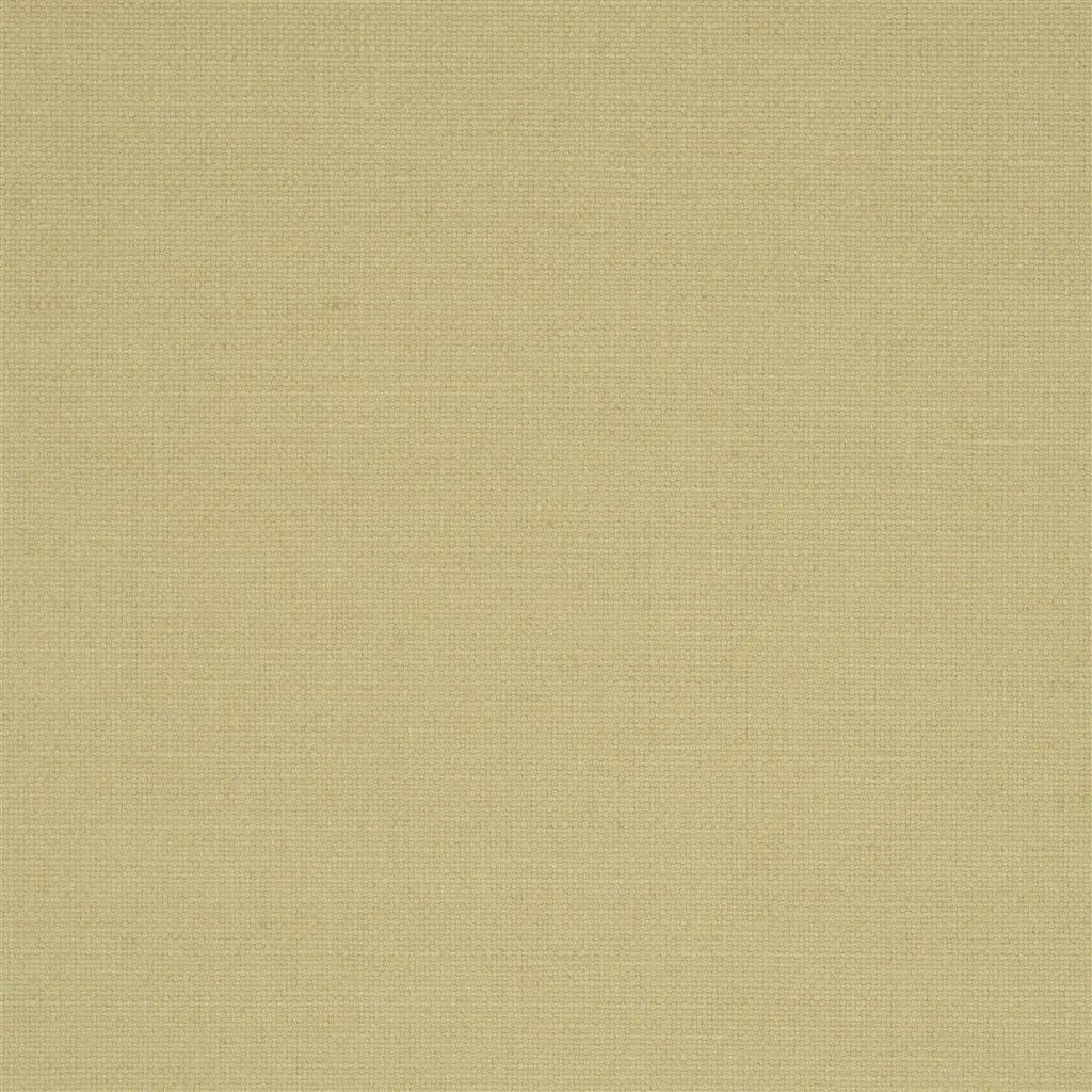 Designers Guild Manzoni 45 Fabric FDG2255-45