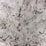 Matthew Williamson Makrana 5 Wallpaper W6956-05