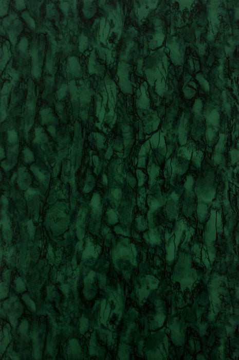 Nina Campbell Kershaw Plain 6 Wallpaper NCW4204-06