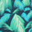 Matthew Williamson Tropicana 1 Wallpaper W6801-01