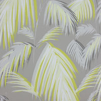 Matthew Williamson Tropicana 3 Wallpaper W6801-03
