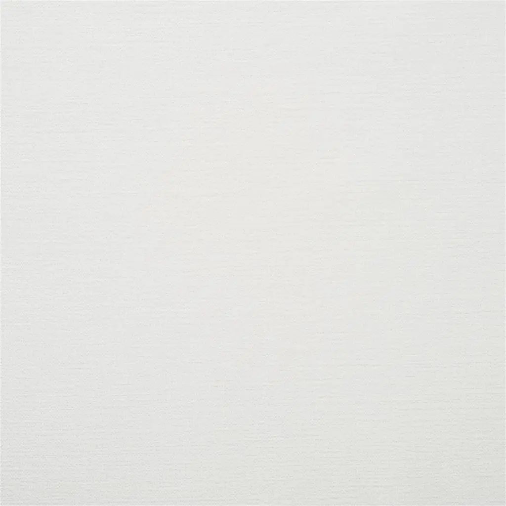 Designers Guild Zaragoza 27 Fabric FDG2333-27