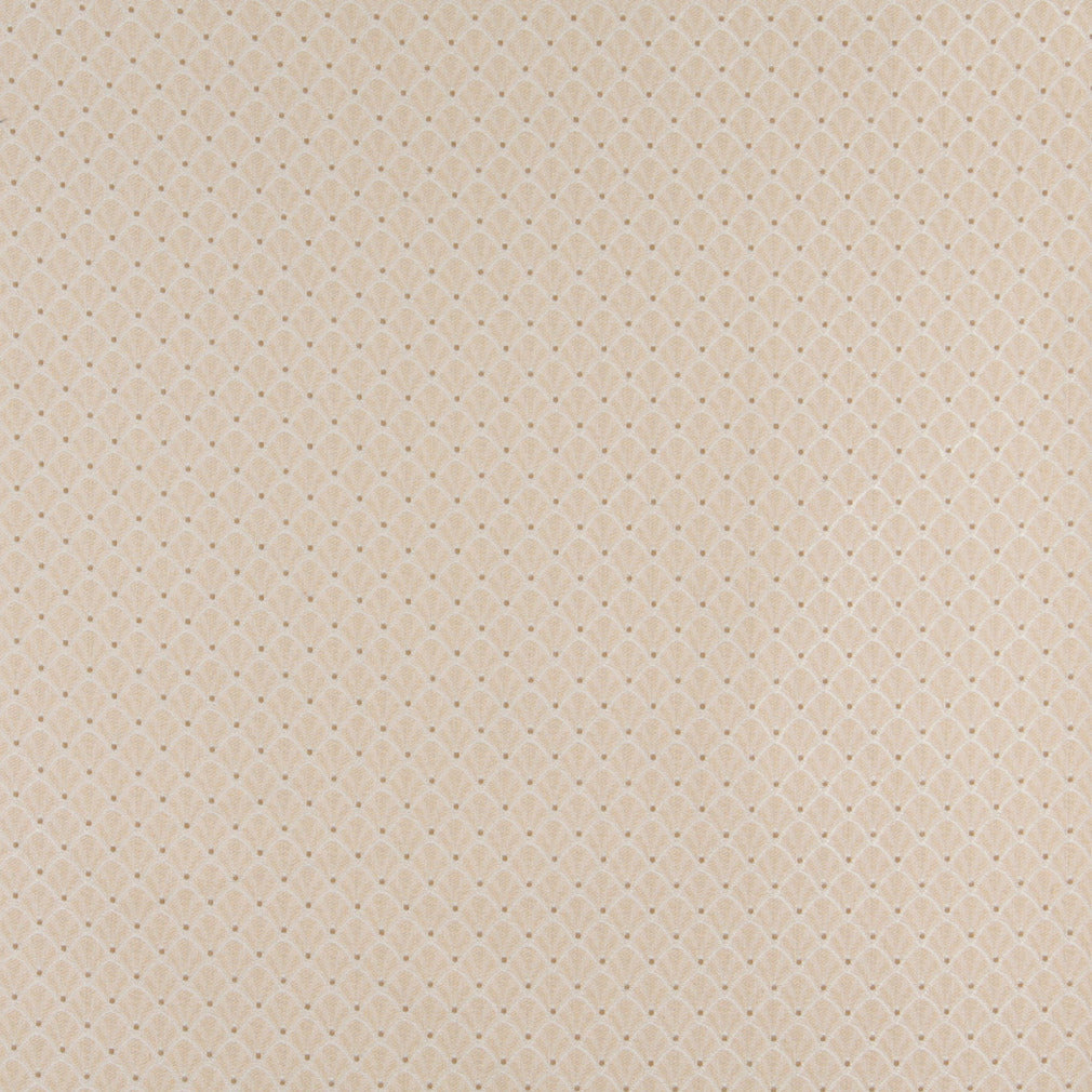 Charlotte Ecru Shell Fabric Sample 4355