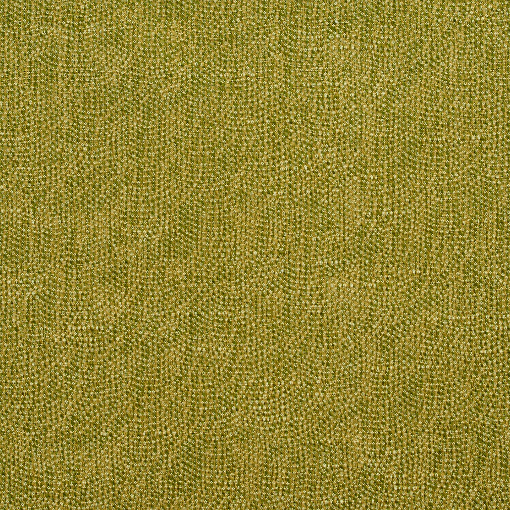 Charlotte Fern Fabric Sample 4447